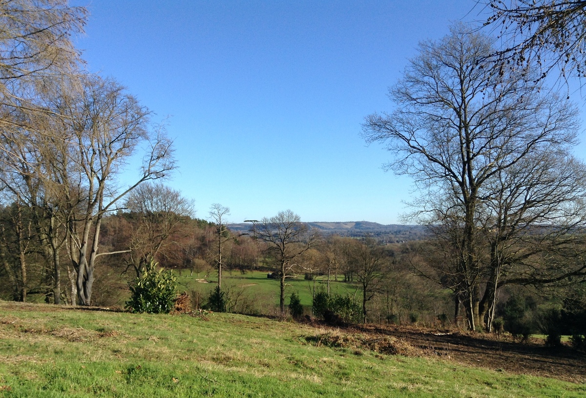 Looking towards Brockham